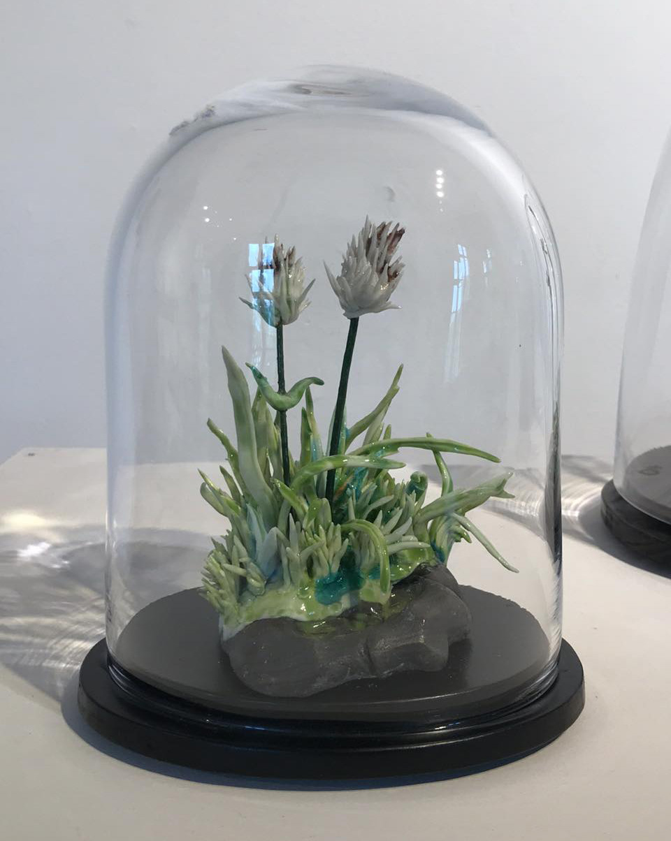 Linda Jansson Lothe, Trifolium montanum/Backklöver porslin, glas